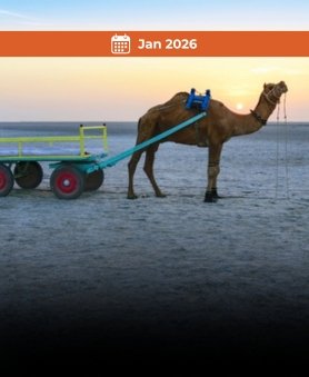 Rann of Kutch Expedition